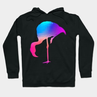 Flamingo Hoodie